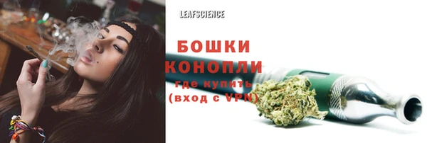 твердый Липки