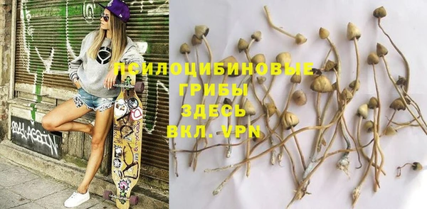 ПСИЛОЦИБИНОВЫЕ ГРИБЫ Лиски