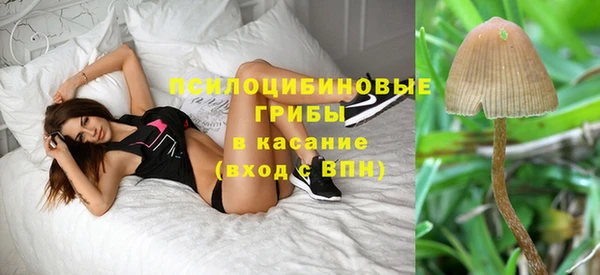 твердый Липки