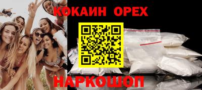 кокс Донской