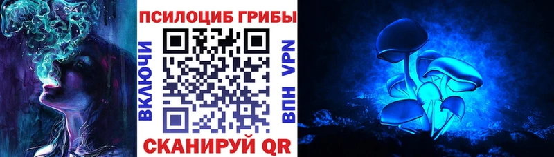 Псилоцибиновые грибы мухоморы Жуковский
