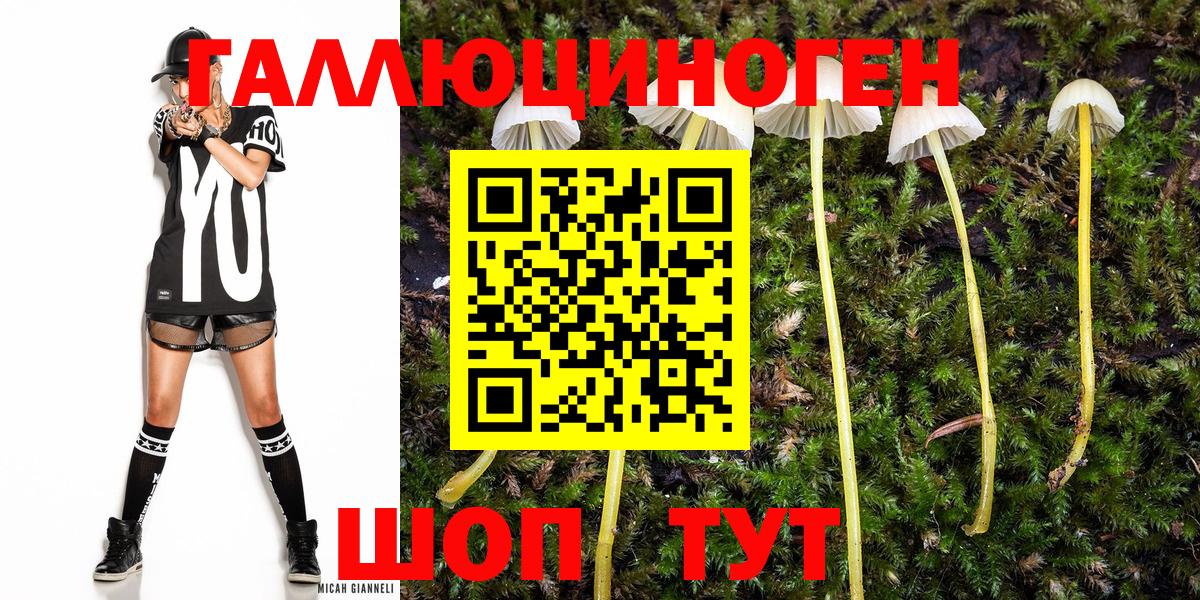 Галлюциногенные грибы ЛСД  Галлюциногенные грибы мицелий  Жуковский 