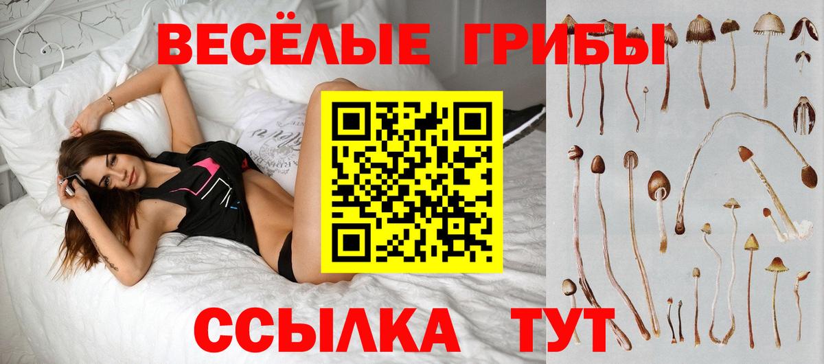 Жуковский  Галлюциногенные грибы Cubensis  Вход с VPN 