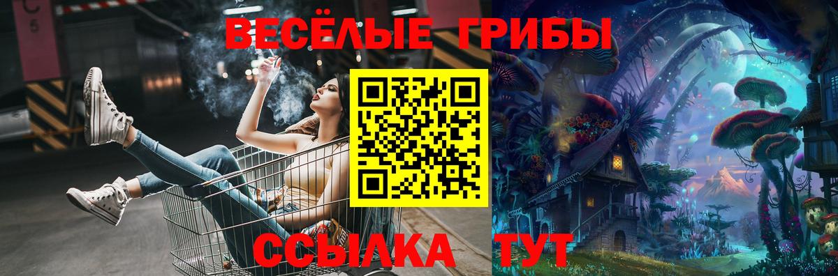 Галлюциногенные грибы Cubensis Жуковский