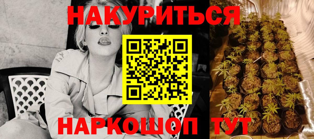 Бошки марихуана конопля  Каннабис сатива  Марихуана Ganja  Вход с VPN  Жуковский 